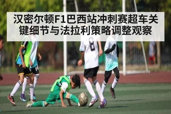 汉密尔顿F1巴西站冲刺赛超车关键细节与法拉利策略调整观察